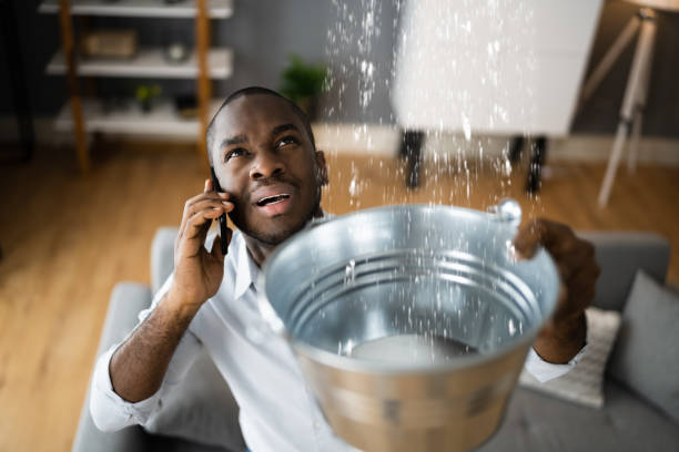 Best Mold removal after water damage  in Dunbar, WV