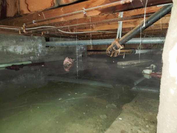 Best 24/7 water damage repair  in Dunbar, WV