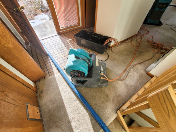 Best Flood restoration services  in Dunbar, WV