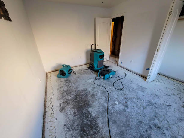 Best Residential water damage restoration  in Dunbar, WV