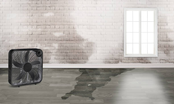 Best 24-hour water damage restoration  in Dunbar, WV