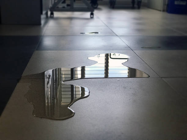Best Commercial water damage restoration  in Dunbar, WV