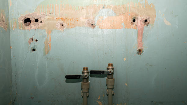 Best Carpet water damage restoration  in Dunbar, WV