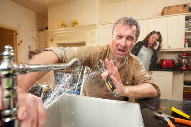Best Professional water damage repair  in Dunbar, WV